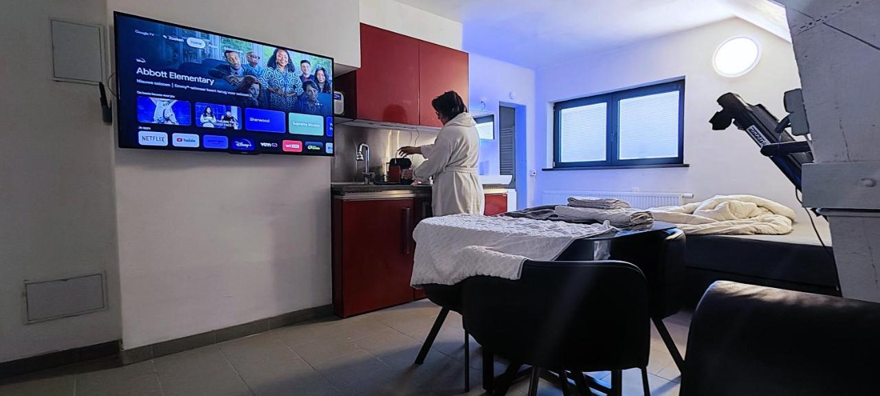 Logeerkamer Xxl 25 M2 Zemst Екстер'єр фото